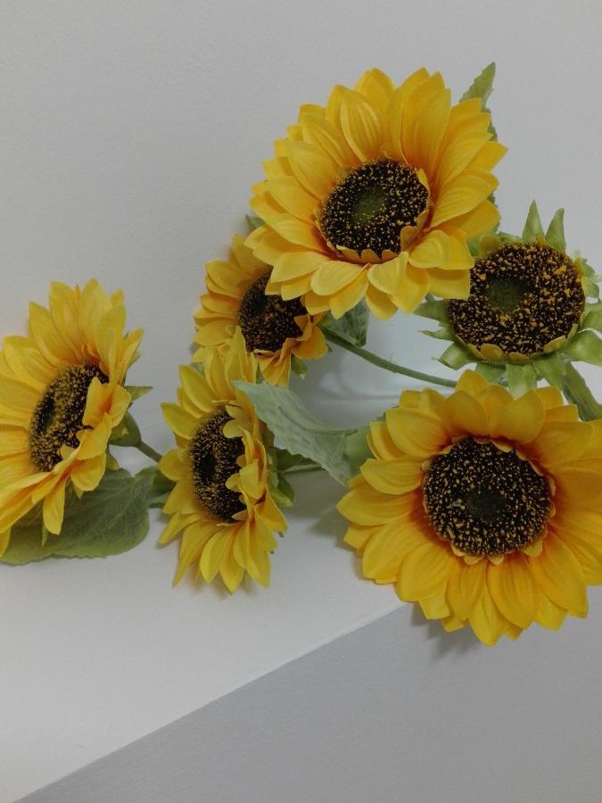 Bed and Breakfast Girasole Grazioli 47 Тренто Экстерьер фото